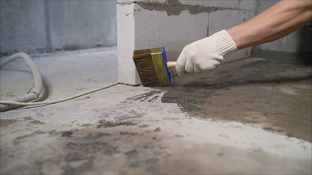 24/7 Emergency Exterior Waterproofing experts in Lewisville, NC